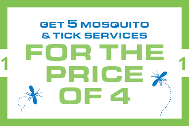 coupon-1