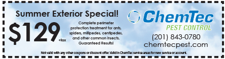 Pest Control Coupons Chemtec Pest Control