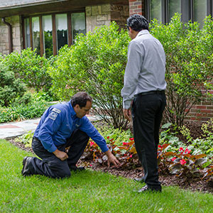 termite-inspections