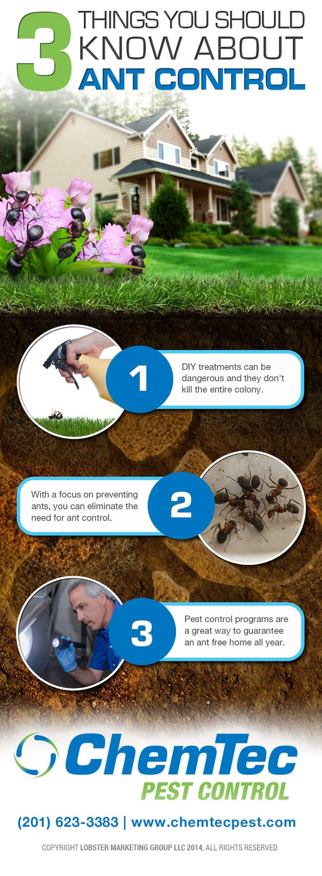 3 Things You Should Know About Ant Control [Infographic] ChemTec Pest Control